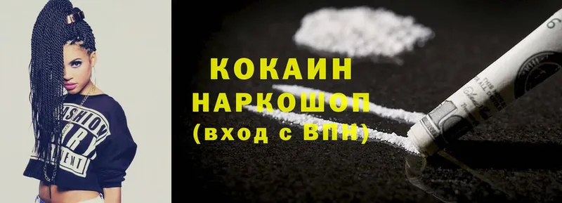 закладка  блэк спрут онион  Cocaine Fish Scale  Бородино 